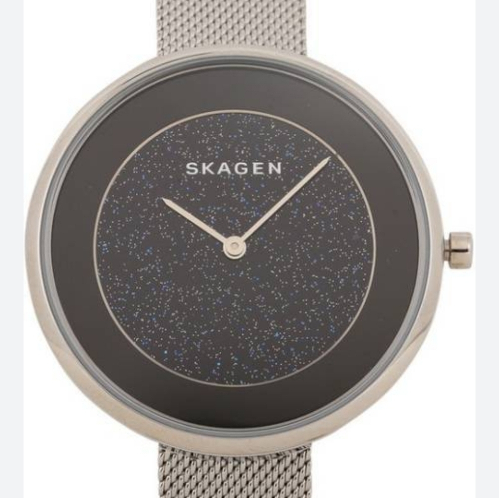 Skagen Watch In Box